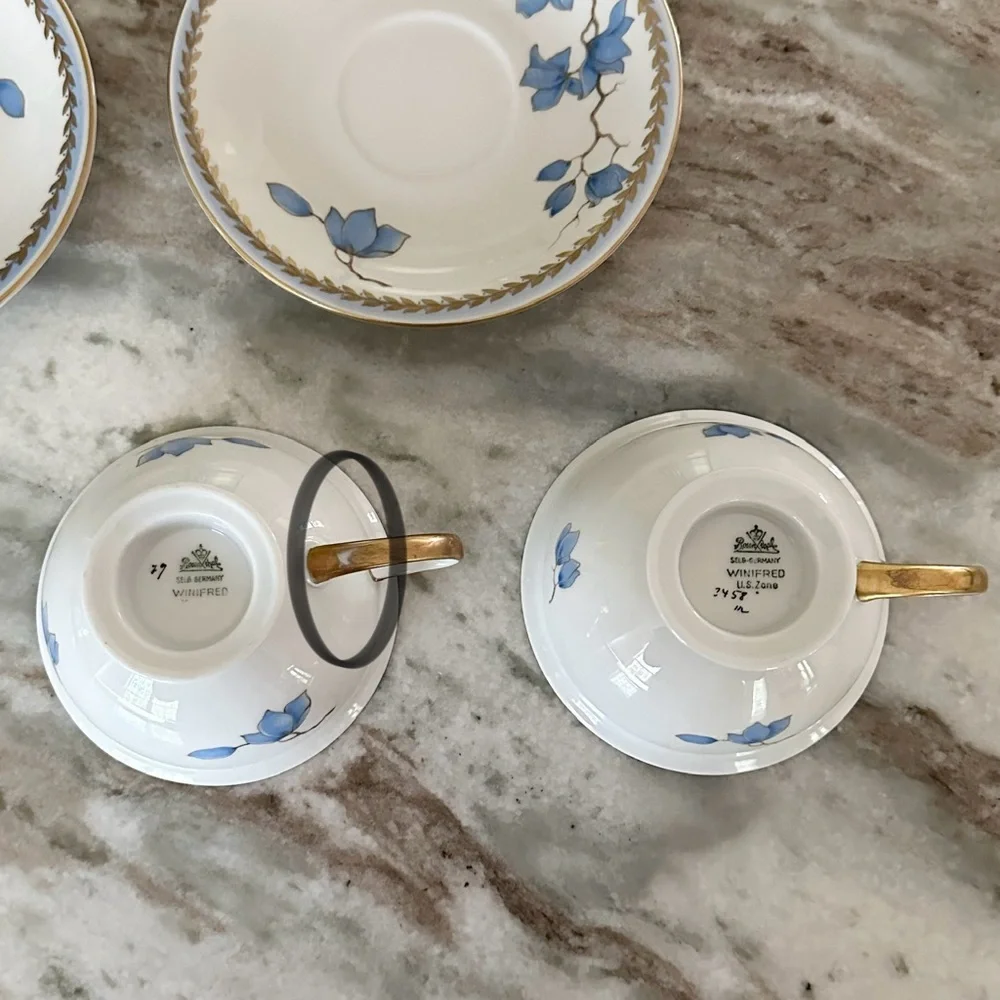 Rosenthal Selb Germany Winifred China White & Blue Floral Print Gold Rim Tea Cup